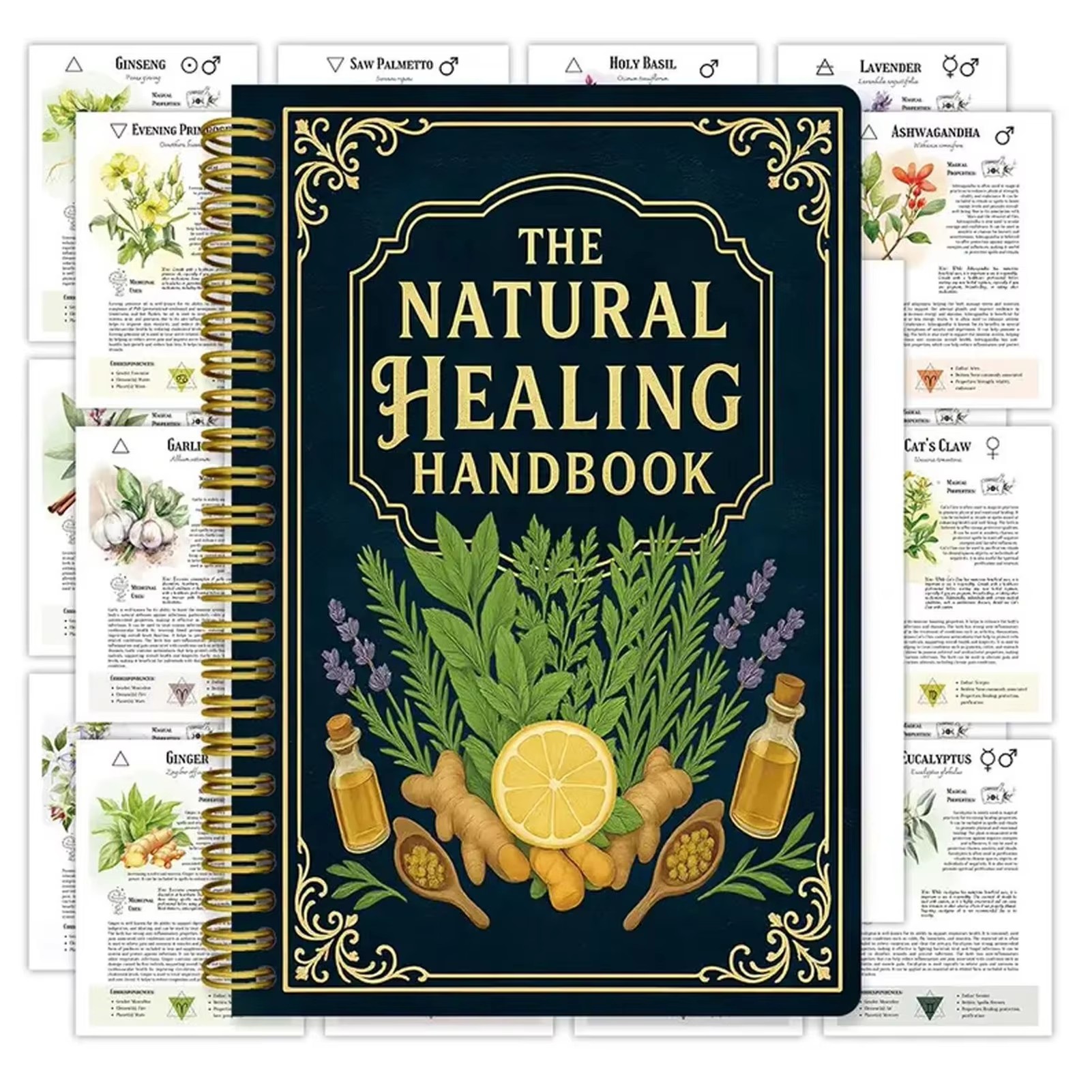 Health & Wellness Rehab - Healing Handbook By Luna Filby English