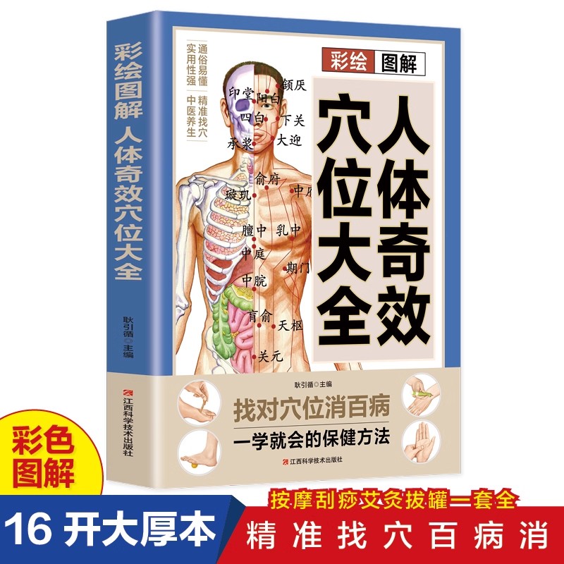 Health & Wellness Rehab - Acupoint Massage & TCM Health Preservation